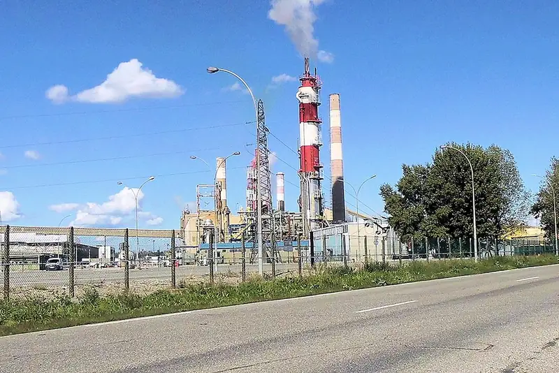 Cheminées et unités de la plateforme chimique de Chalampé, vues depuis la route, en 2022.